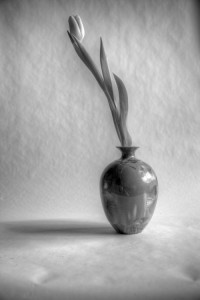 Vase with Tulips