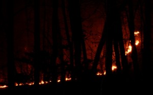 Walden Ridge Fire Control Lines