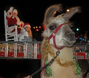 Oak Ridge Christmas Parade