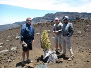 Kerry and Leslie Trammell and Tony Anderson in Hawaii