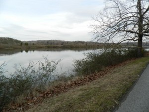 Melton Lake Drive Submerged Car