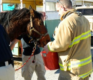 Oak Ridge Firefighter with Rescued Horse