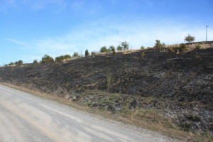 Pine Ridge Grass Fire