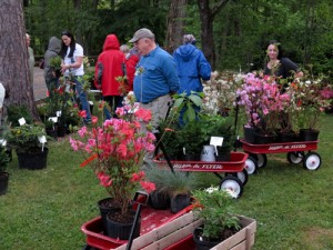 UT Arboretum Society Plant Sale