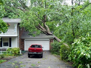 Tree Falls on House