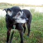 Mija at Melton Lake Park Fall 2011