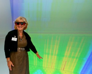 Diane Black Tours CASL