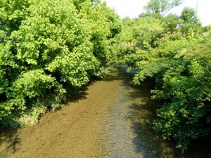 East Fork Poplar Creek