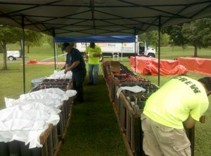 July 4 Fireworks Setup