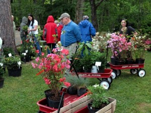 University of Tennessee Arboretum Society Plant Sale