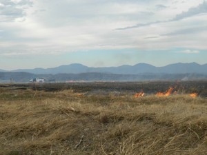 Pine Ridge Controlled Burning