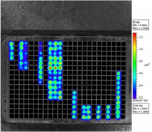 University of Tennessee Bioluminescence and Microtiter Plate