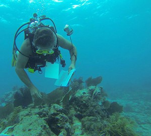 Bruce Cantrell Diving