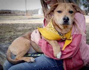 Rue at Oak Ridge Animal Shelter