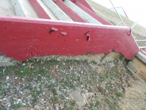 Blankenship Field Wildcat Crossing Stairs