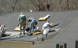 Habitat Men on Bullock Roof