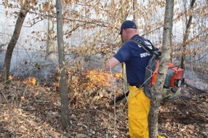 linden-elementary-school-brush-fire-1