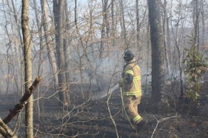 linden-elementary-school-brush-fire-3