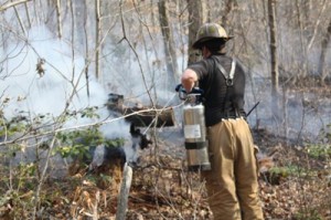 linden-elementary-school-brush-fire-4