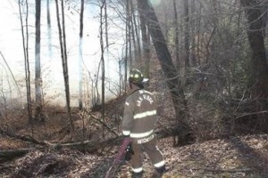 linden-elementary-school-brush-fire-5