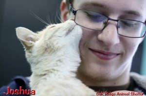 Pet of the Day: Joshua