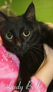 Pet of the Day: Lady Belle