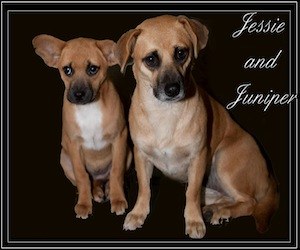 Jessie and Juniper
