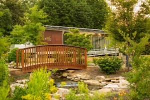 Living Light Solar House Garden