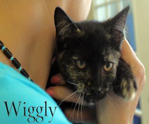 Pet of the Day: Wiggly