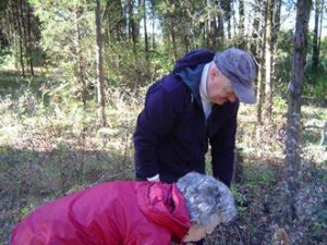 Oak Ridge Cedar Barren Cleanup