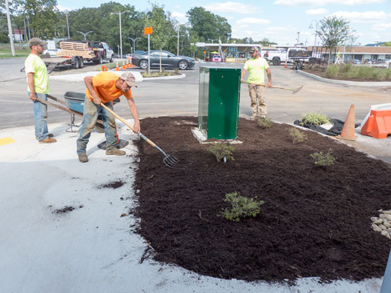 Jackson Square Landscaping