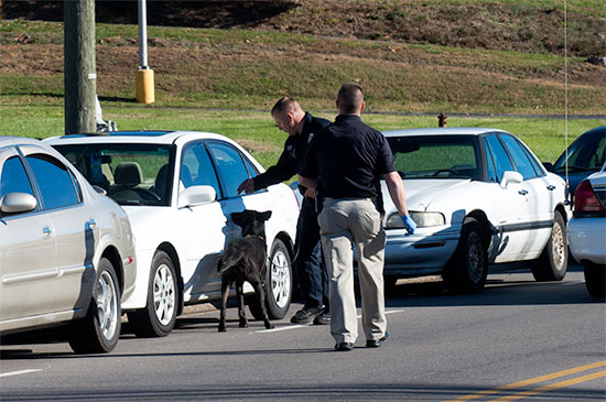 ORHS-Safety-Check-3-Nov-20-2015