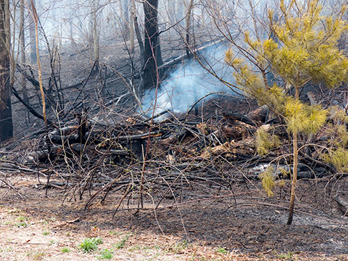 Foley-Hill-Fire-March-17-2016-1