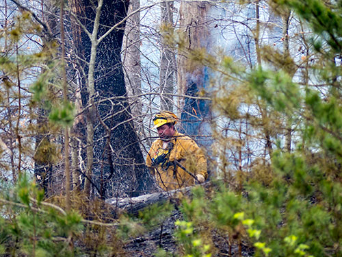 Foley-Hill-Fire-Tennessee-Division-Forestry-March-17-2016-1