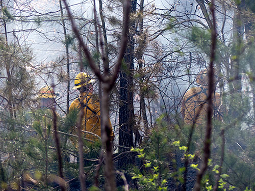 Foley-Hill-Fire-Tennessee-Division-Forestry-March-17-2016