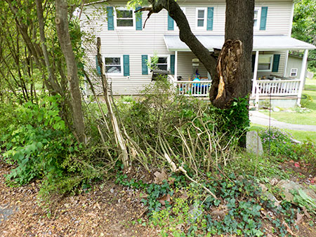 Wabash-Lane-Crash-House-I-Front-Yard-May-25-2016