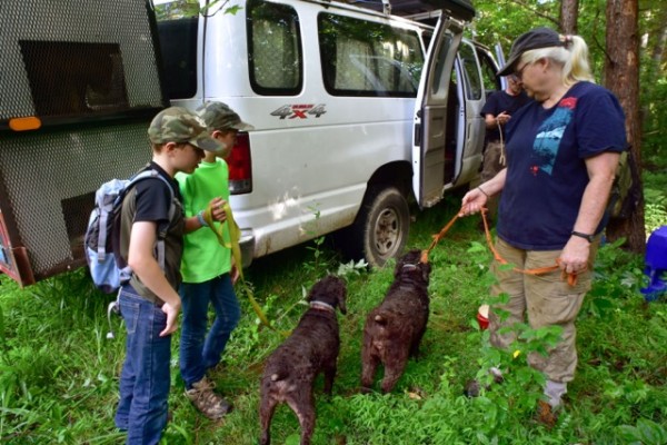 CRESO and DOE OREM Turtle Hunt with Boykin Spaniels 2