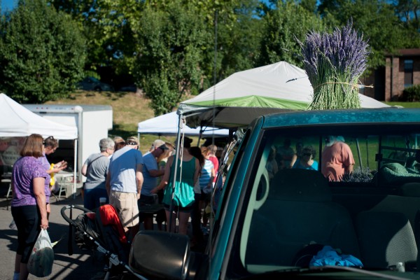 Lavender Festival in Jackson Square June 18 2016 2