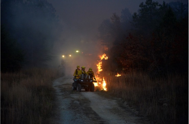 tennessee-division-of-forestry-backfire-van-buren-county-nov-2-2016