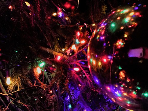 oak-ridge-christmas-tree-lighting-2a-dec-2-2016