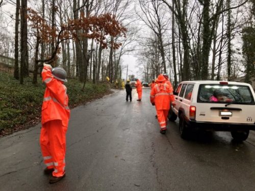 Oak Ridge crews work to clear downed tree and power lines on Westover Drive on Wednesday, March 1, 2017. (Photo courtesy City of Oak Ridge)