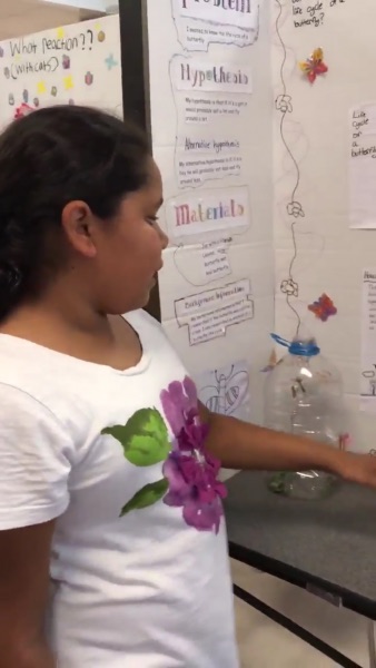 Students from Willow Brook Elementary School explain their STEM problems and solutions at family STEM night. (Submitted photo)