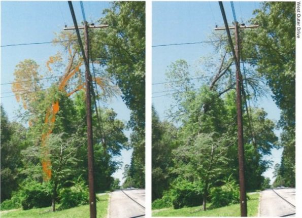 Typical ash tree locations, plus color enhancements—West Outer Drive. (Images by City of Oak Ridge)