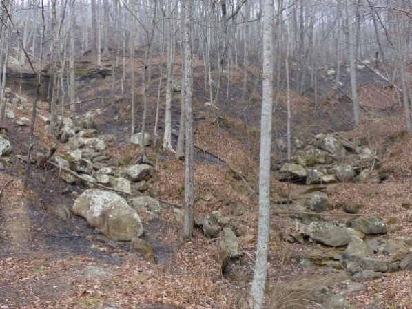 The mountaintop fire at Graves Gap along Highway 116 in north Anderson County burned more than 300 acres this week, a state official said Thursday afternoon, Nov. 30, 2017. (Photo by John Huotari/Oak Ridge Today)