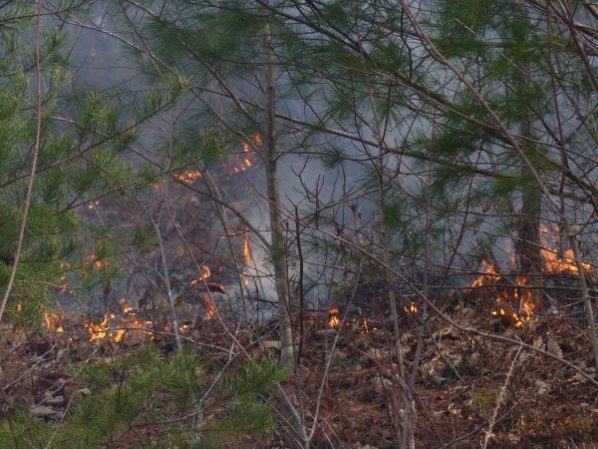 The mountaintop fire at Graves Gap along Highway 116 in north Anderson County burned more than 300 acres this week, a state official said Thursday afternoon, Nov. 30, 2017. (Photo by John Huotari/Oak Ridge Today)