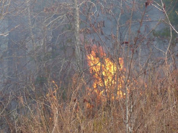 The mountaintop fire at Graves Gap along Highway 116 in north Anderson County burned more than 300 acres this week, a state official said Thursday afternoon, Nov. 30, 2017. (Photo by John Huotari/Oak Ridge Today)