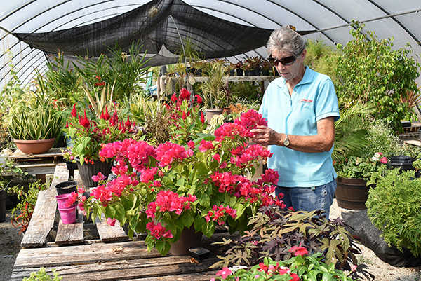 Roane State Community College Greenhouse Oct 2 2019