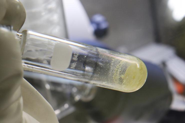 DOE EM ORNL Thorium Extract